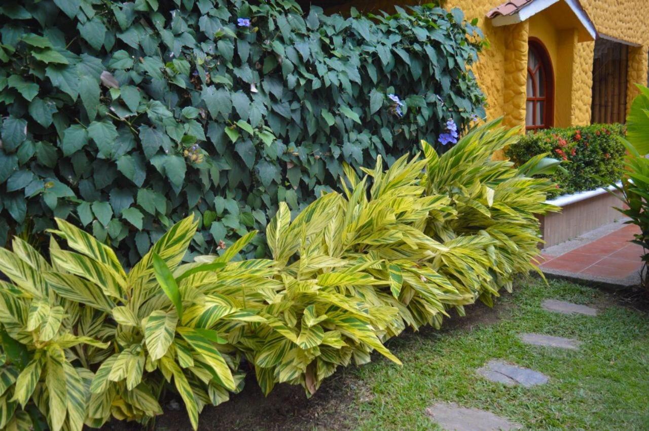 Eco Hostal Kuima Zaino Kültér fotó