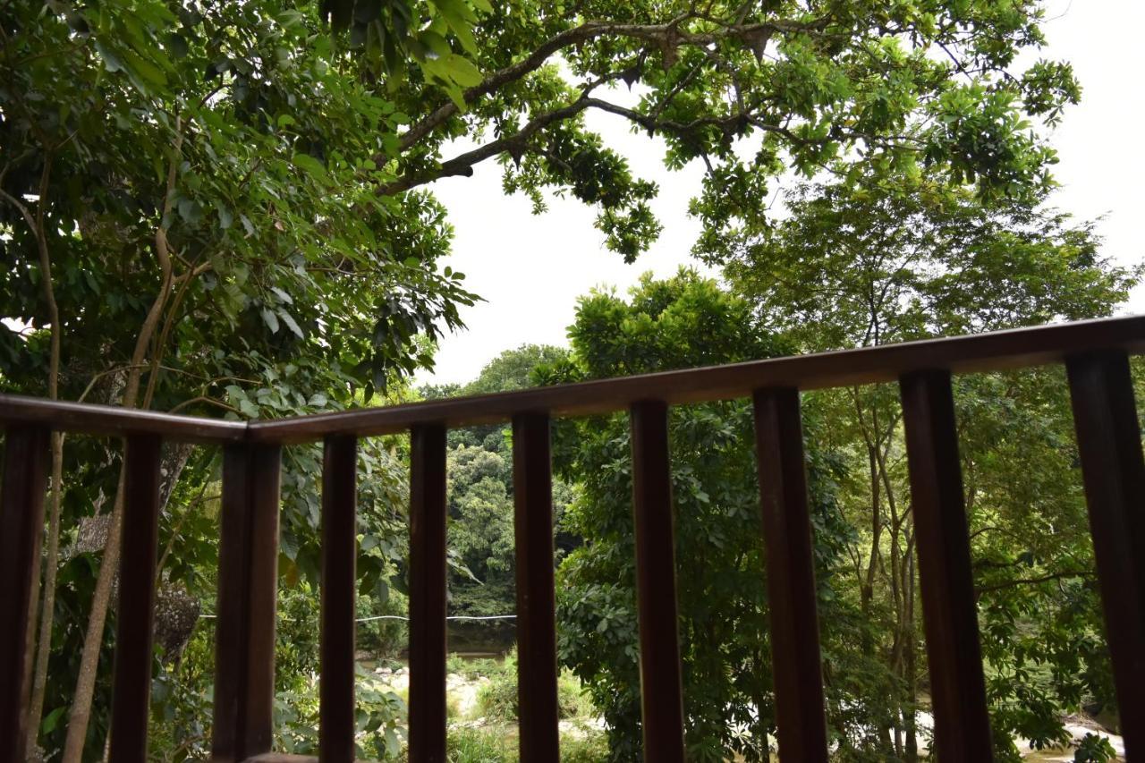 Eco Hostal Kuima Zaino Kültér fotó